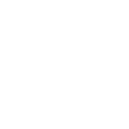 Dunks Performance