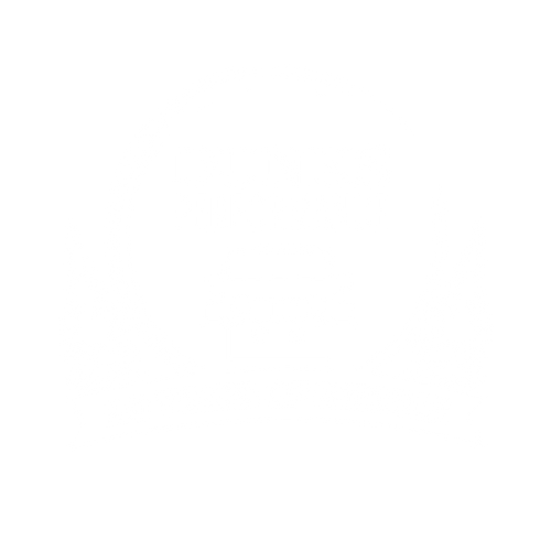 Dunks performance on sale