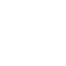 Dunks Performance