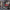 Monster-Ram Intake and Grid Heater Upgrade (Chassis Cab) 42804-R