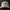 Dunks Khaki/Coffee Trucker Hat