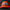 Dunks Orange / Black Trucker Hat