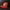 Dunks Orange / Black Trucker Hat