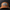 Dunks Carmel Black Trucker Hat