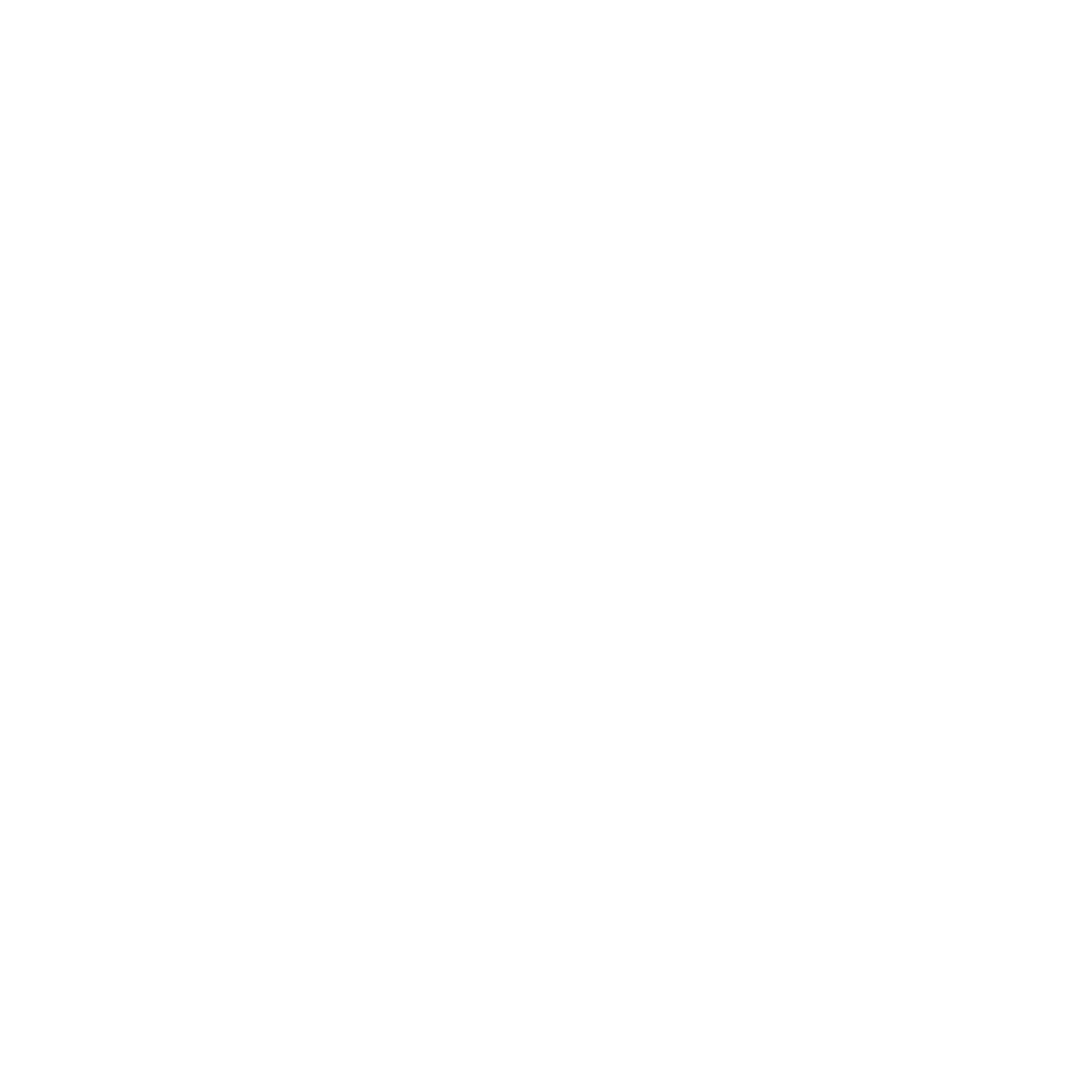 Dunks Performance photo 3